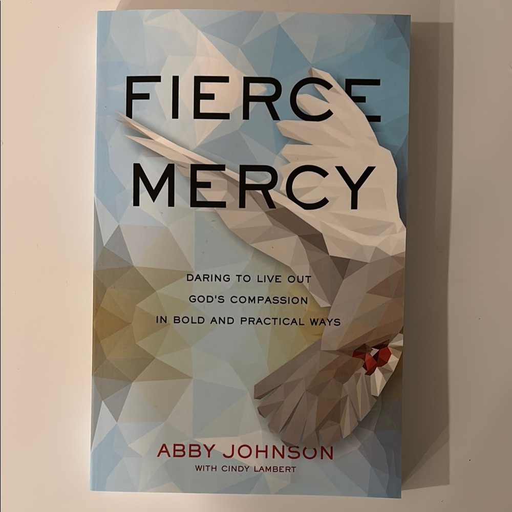 Fierce Mercy Book